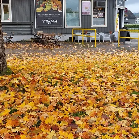 Walters Guest house Skien