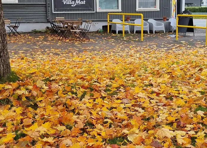 Walters Pensionat Skien